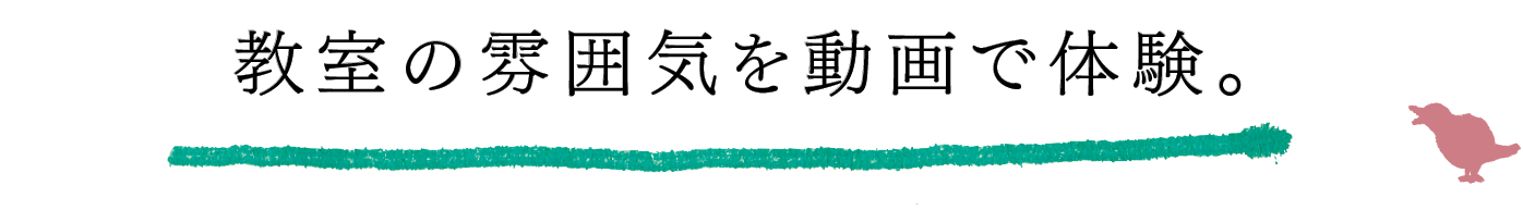 教室の雰囲気を動画で体験。