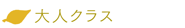  Language Courses【成人クラス】