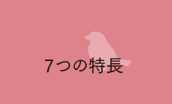 7つの特長