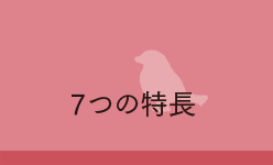 7つの特長