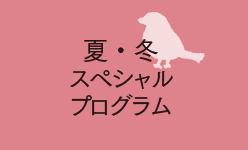 夏・冬スペシャルプログラム