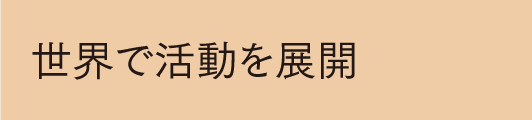 世界で活動を展開